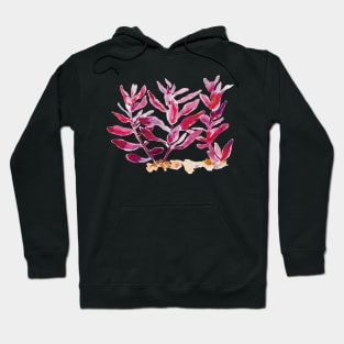 Aquarium Plant Series Red Rotala Macrandra Hoodie